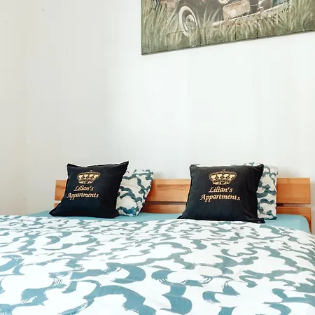 Lilians Modern In Historical Citycenter Apartman Graz