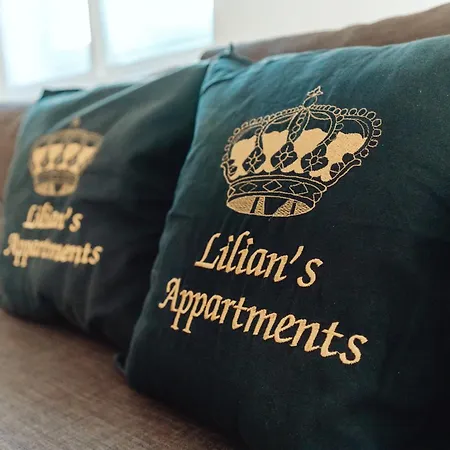 公寓 Lilians Modern In Historical Citycenter